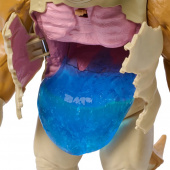 Superman - Kaiju Slime Battle Superman - Kaiju Slime Battle