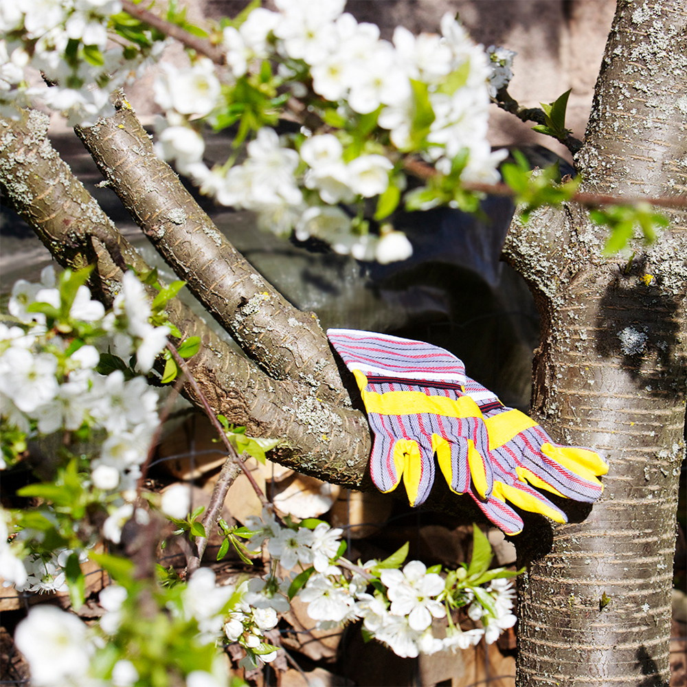 Bosch Trädgårdsmästarset