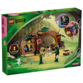 LEGO Wicked - Elphabas Retreat LEGO Wicked - Elphabas Retreat