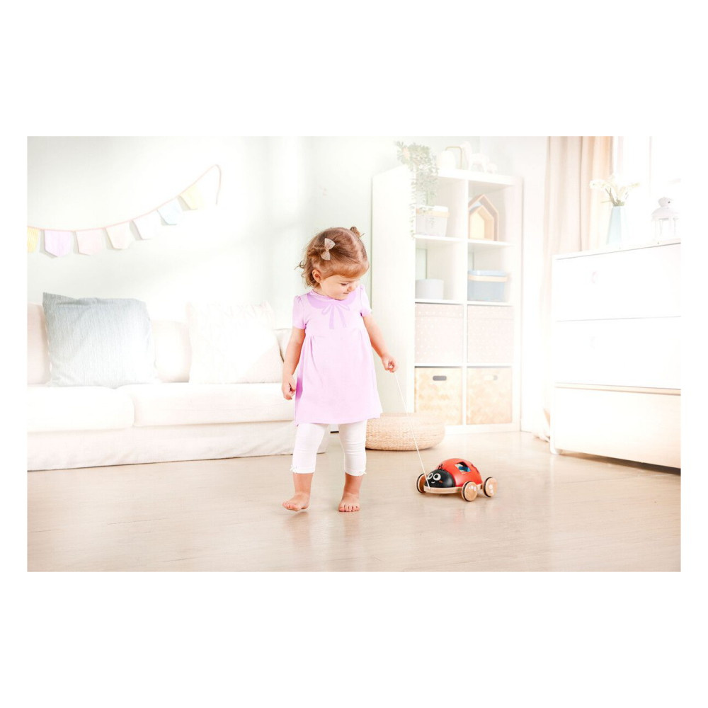 Hape Formsorterare Nyckelpiga