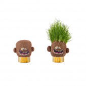 Hape Plant Pals Hape Plant Pals