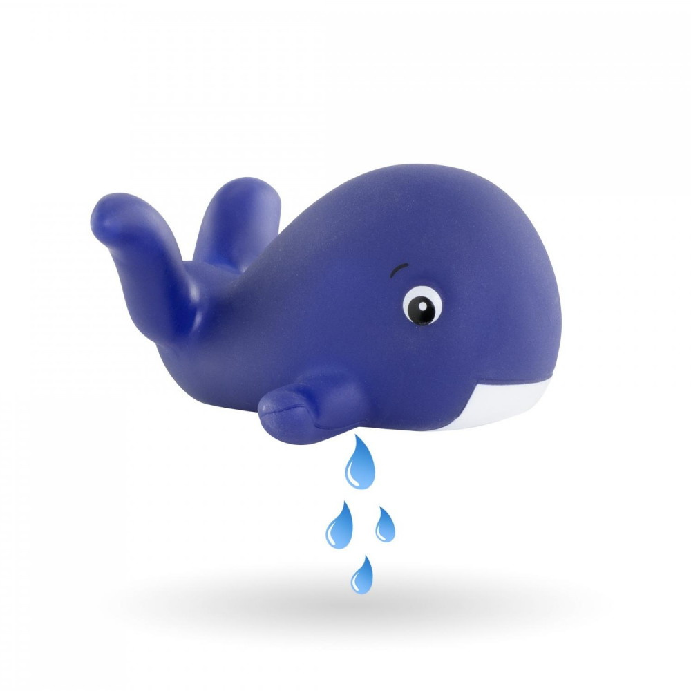 Corolle Baddocka, Marin