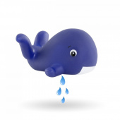 Corolle Baddocka, Marin Corolle Baddocka, Marin