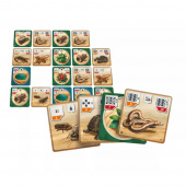 Reptile Tank Reptile Tank