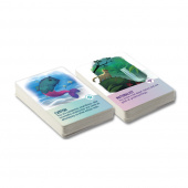 Magical Kitties Save the Day RPG: Kitty Cards Magical Kitties Save the Day RPG: Kitty Cards