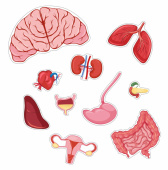 Kroppspussel Flicka 36 Bitar Kroppspussel Flicka 36 Bitar