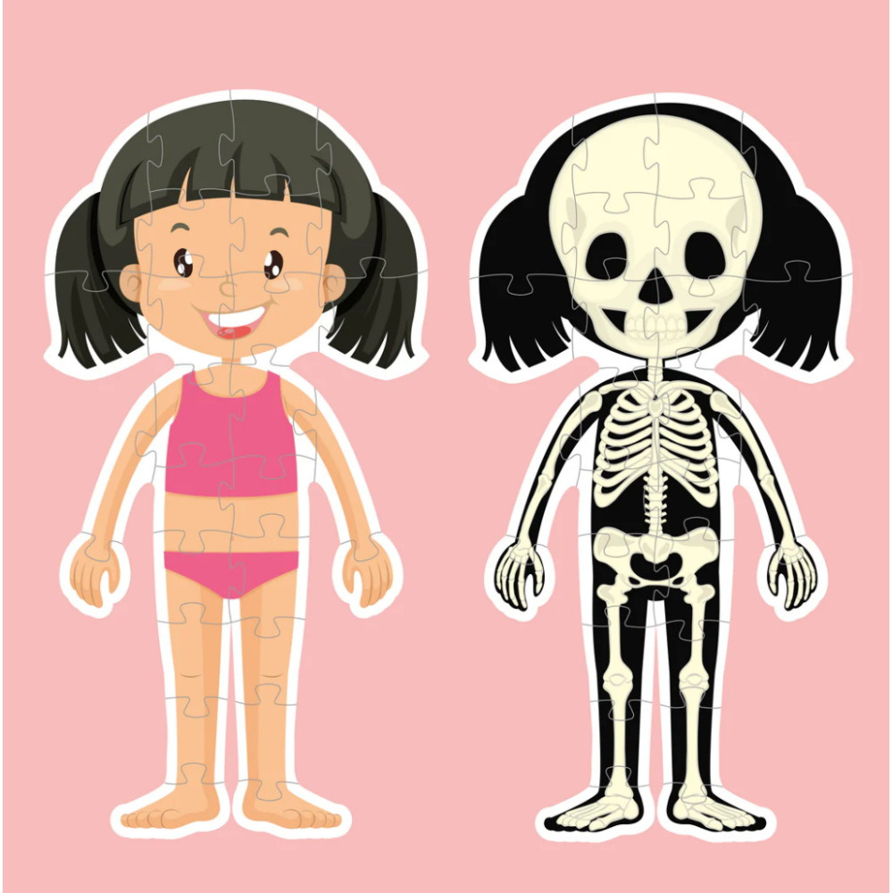 Kroppspussel Flicka 36 Bitar