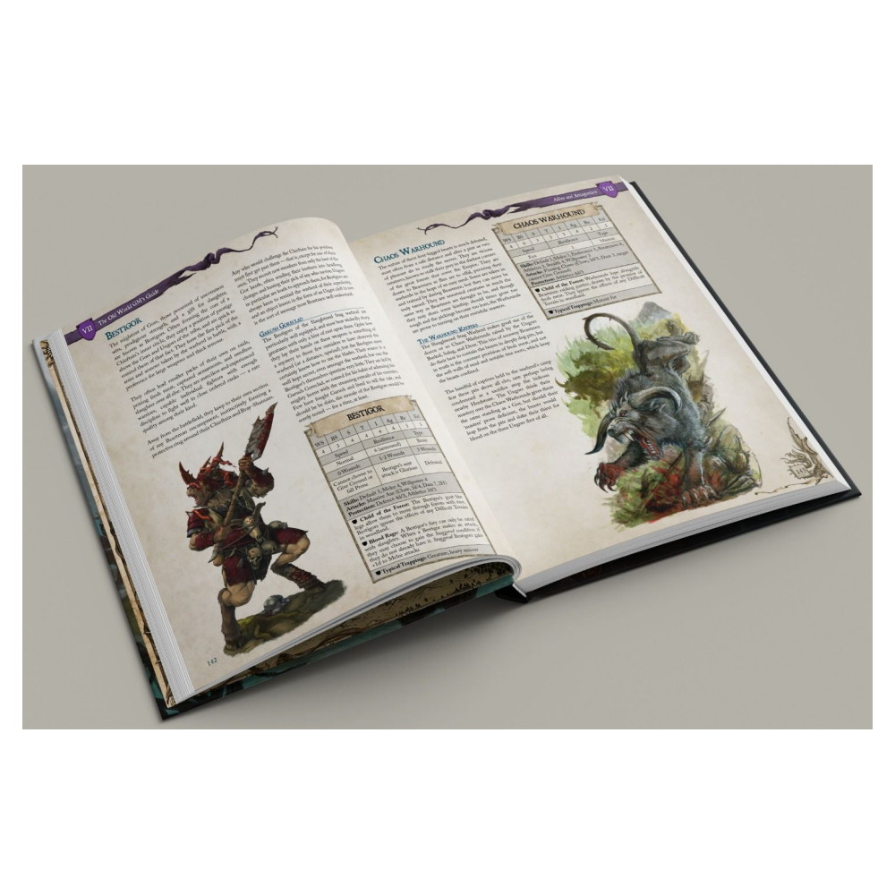 Warhammer: The Old World RPG - Gamemaster's Guide