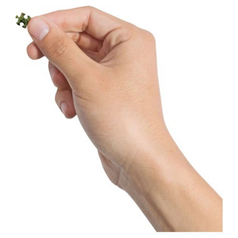 Världens Minsta Pussel: Dutch Windmills 1000 bitar