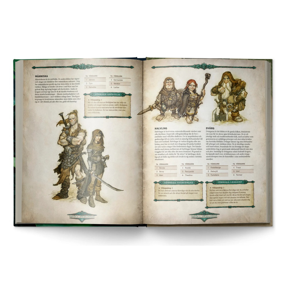 Drakar och Demoner - Regelboken