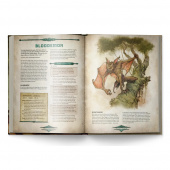 Drakar och Demoner - Monsterboken Drakar och Demoner - Monsterboken