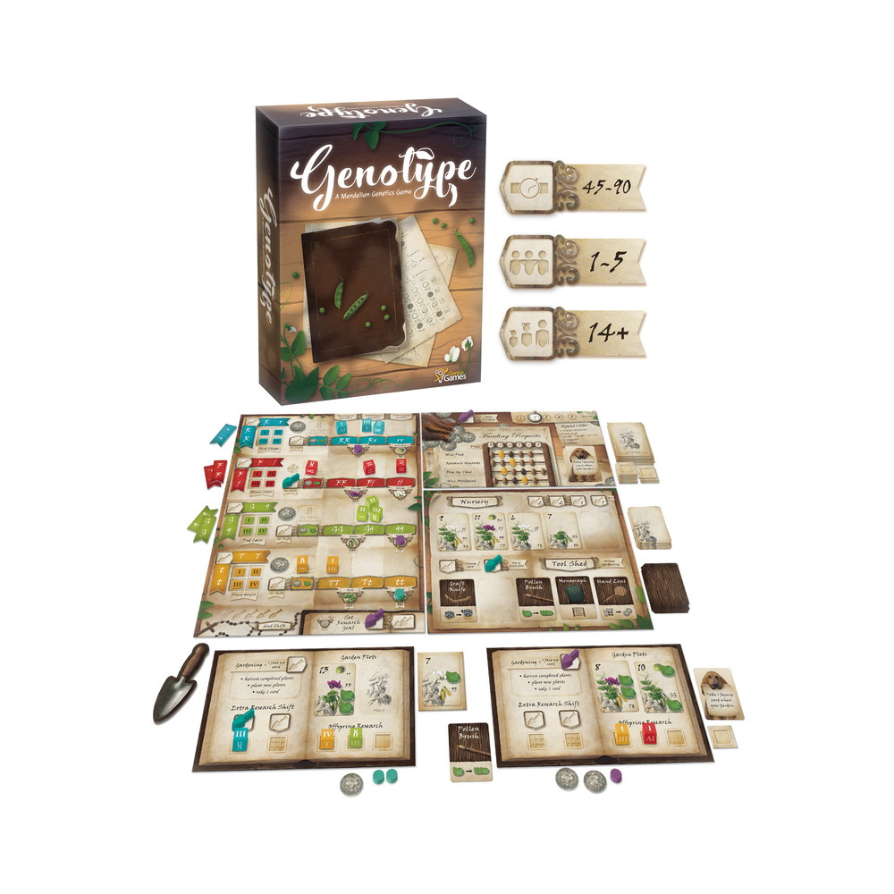 Genotype: A Mendelian Genetics Game