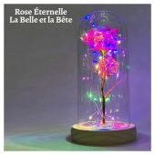 Rose of Love Pink Rose of Love Pink