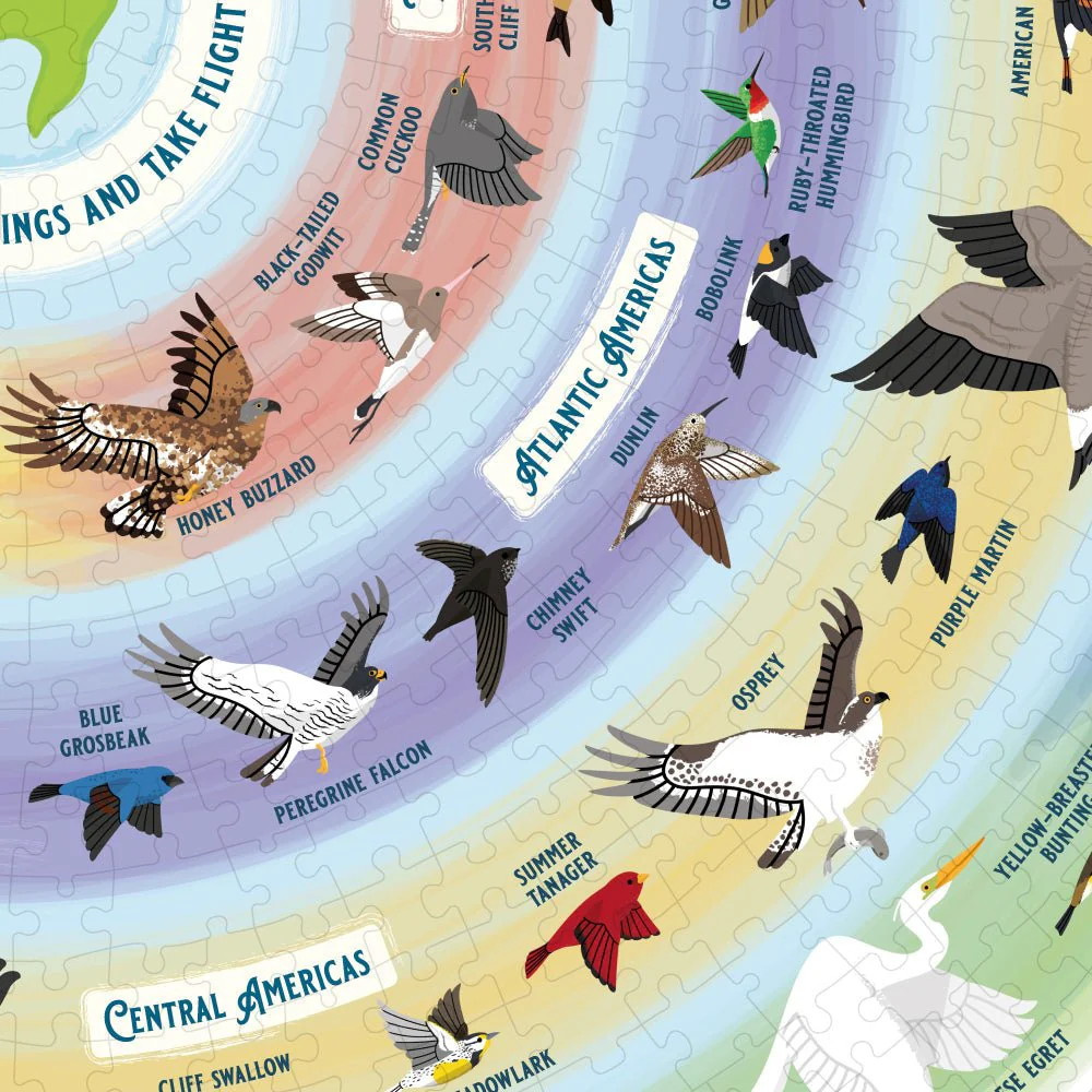 Ridley's Pussel - Bird Lover 1000 Bitar