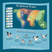 Ridley's Pussel - Bird Lover 1000 Bitar Ridley's Pussel - Bird Lover 1000 Bitar