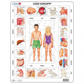 Larsen Rampussel Vår kropp 35 Bitar Larsen Rampussel Vår kropp 35 Bitar