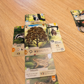 Forest Shuffle (Swe) Forest Shuffle (Swe)