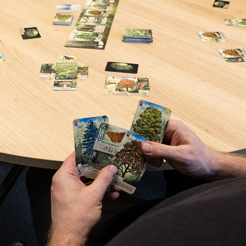 Forest Shuffle (Swe)