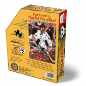 Pussel - I Am Panda 550 bitar Pussel - I Am Panda 550 bitar