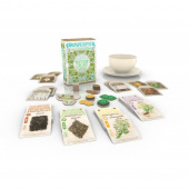 Prosperitea Prosperitea