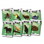 Animalia: Preventing Extinction Animalia: Preventing Extinction