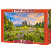 SKADAT Castorland - Blossoms of Morning 2000 Bitar SKADAT Castorland - Blossoms of Morning 2000 Bitar