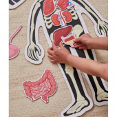 SKADAT Kroppspussel Pojke 36 Bitar SKADAT Kroppspussel Pojke 36 Bitar