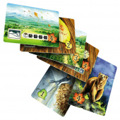 Meadow: Cards & Sleeves Pack (Exp.) Meadow: Cards & Sleeves Pack (Exp.)