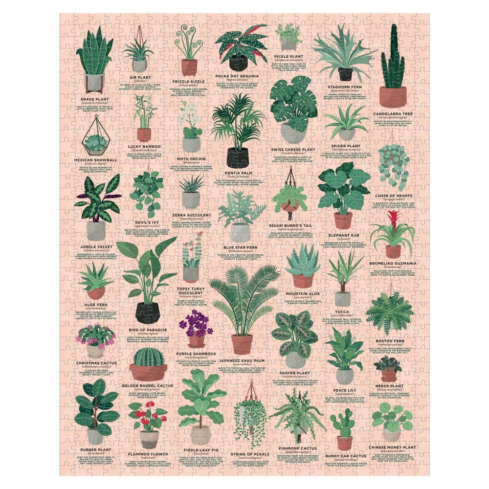 Ridley's Pussel - House Plants 1000 Bitar