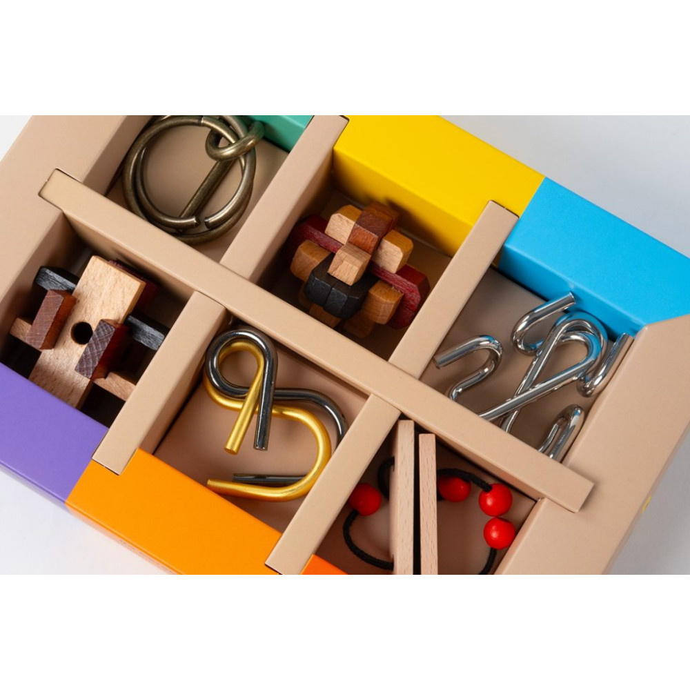 Brain Puzzle Set of 6