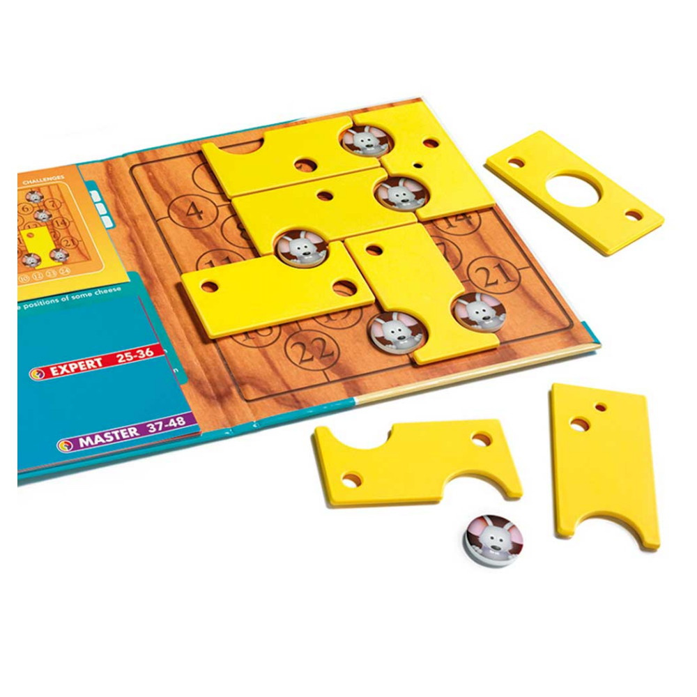 Brain Cheeser Magnetiskt resespel