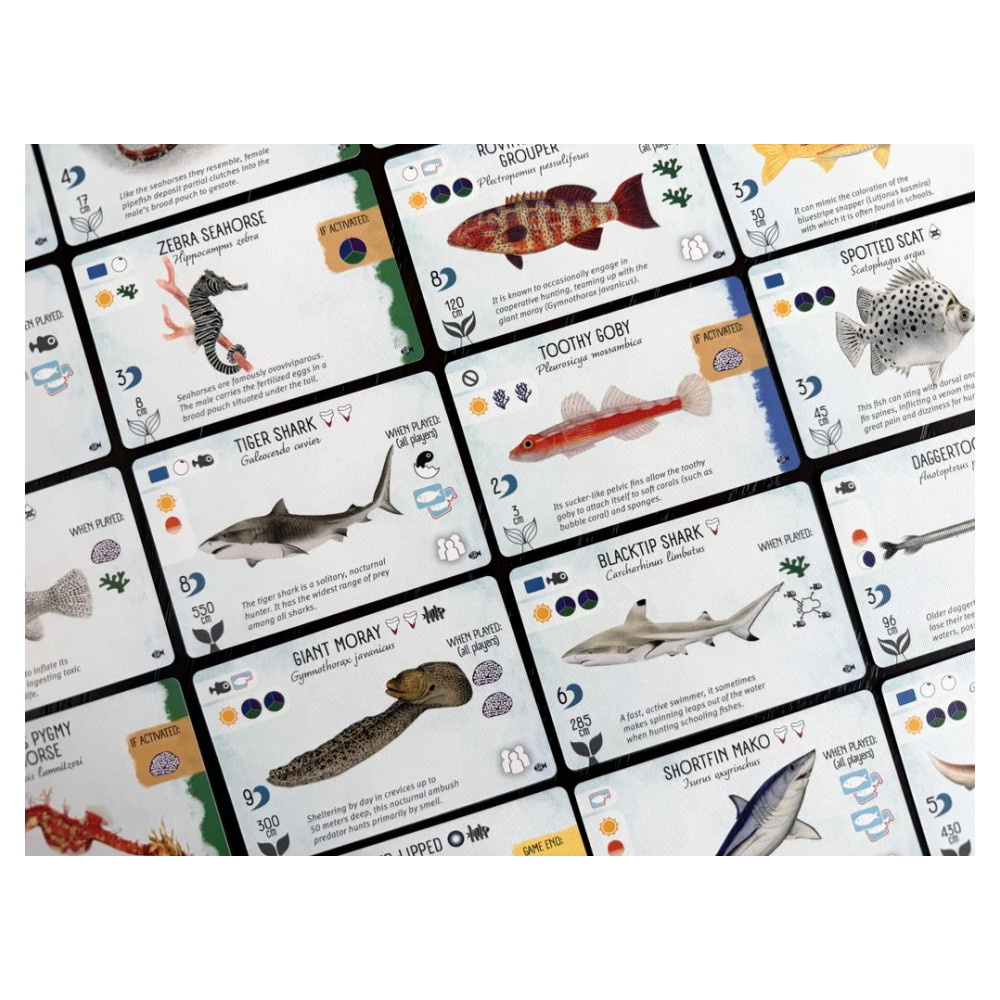 Finspan: Sharks & Reefs (Exp.) (Eng)