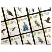 Wingspan: Americas Expansion (Eng) Wingspan: Americas Expansion (Eng)