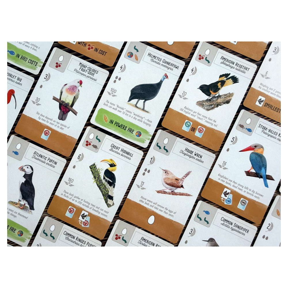 Wingspan Pocket (Eng)