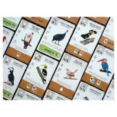 Wingspan Pocket (Eng) Wingspan Pocket (Eng)